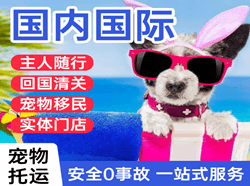 梅州机场托运国际宠物托运 【国